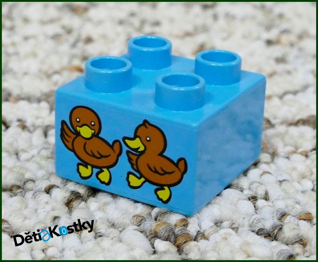 Lego® Duplo® Kostka 2x2 Tyrkysová - Kačenky