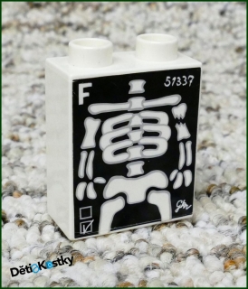 Lego® Duplo® Kostka 1x2x2 Bílá - Rentgen Kostra