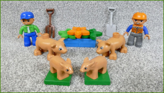 Lego Duplo Sestava/Set Zvířátek